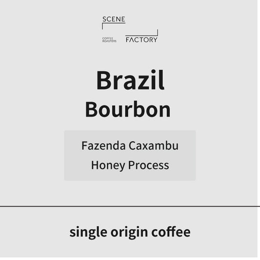 シングルオリジン | ブラジル ファゼンダ・カッシャンブー ブルボン ハニー