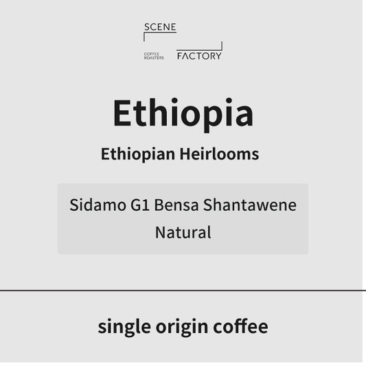 シングルオリジン | エチオピア シダモ G1 ベンサ シャンタウェネ