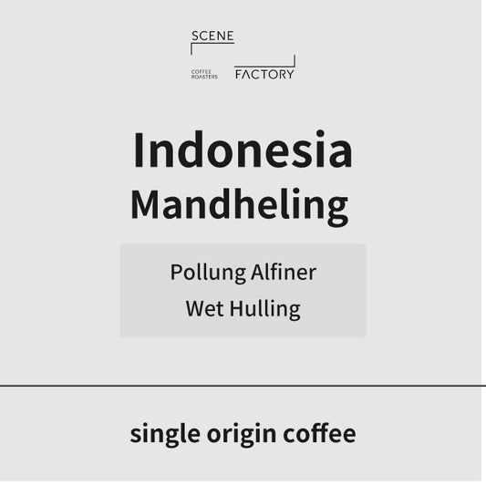 シングルオリジン | インドネシア マンデリン ポルン アルフィナー