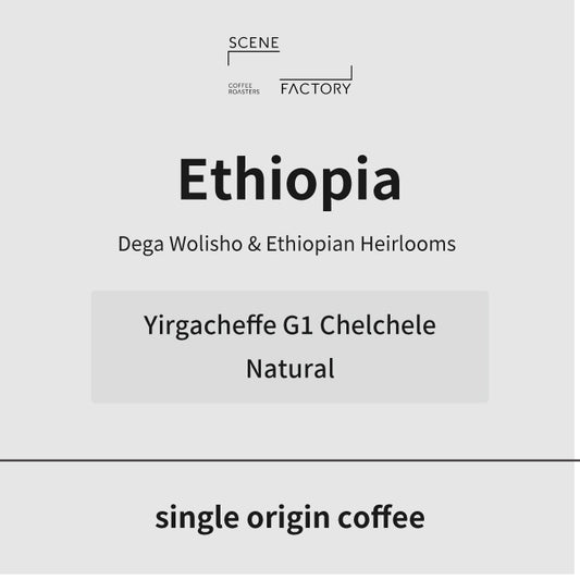 シングルオリジン | エチオピア イルガチェフェ G1 チェルチェレ ナチュラル