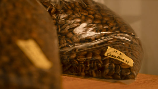 コーヒー豆の表面に油が出るのはなぜ？鮮度が悪いとは限らない理由｜SCENE COFFEE NOTE