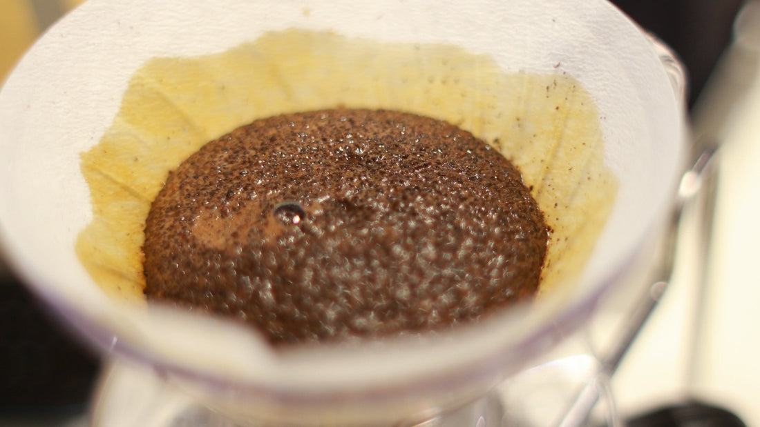 コーヒーの蒸らしは必要？蒸らしあり・なしで濃度を比較してみた｜SCENE COFFEE NOTE