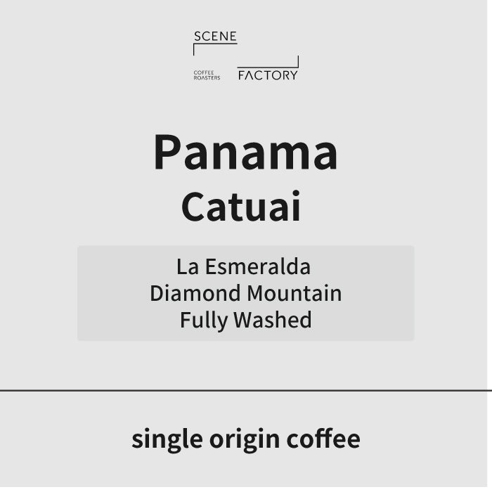 シングルオリジン | パナマ ラ・エスメラルダ ダイヤモンドマウンテン