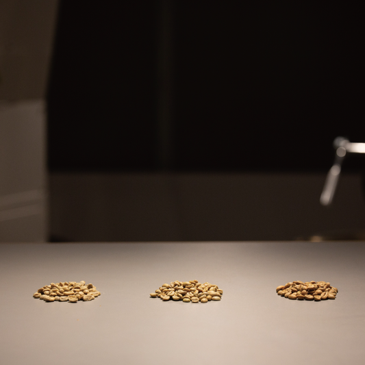 おまかせ定期便