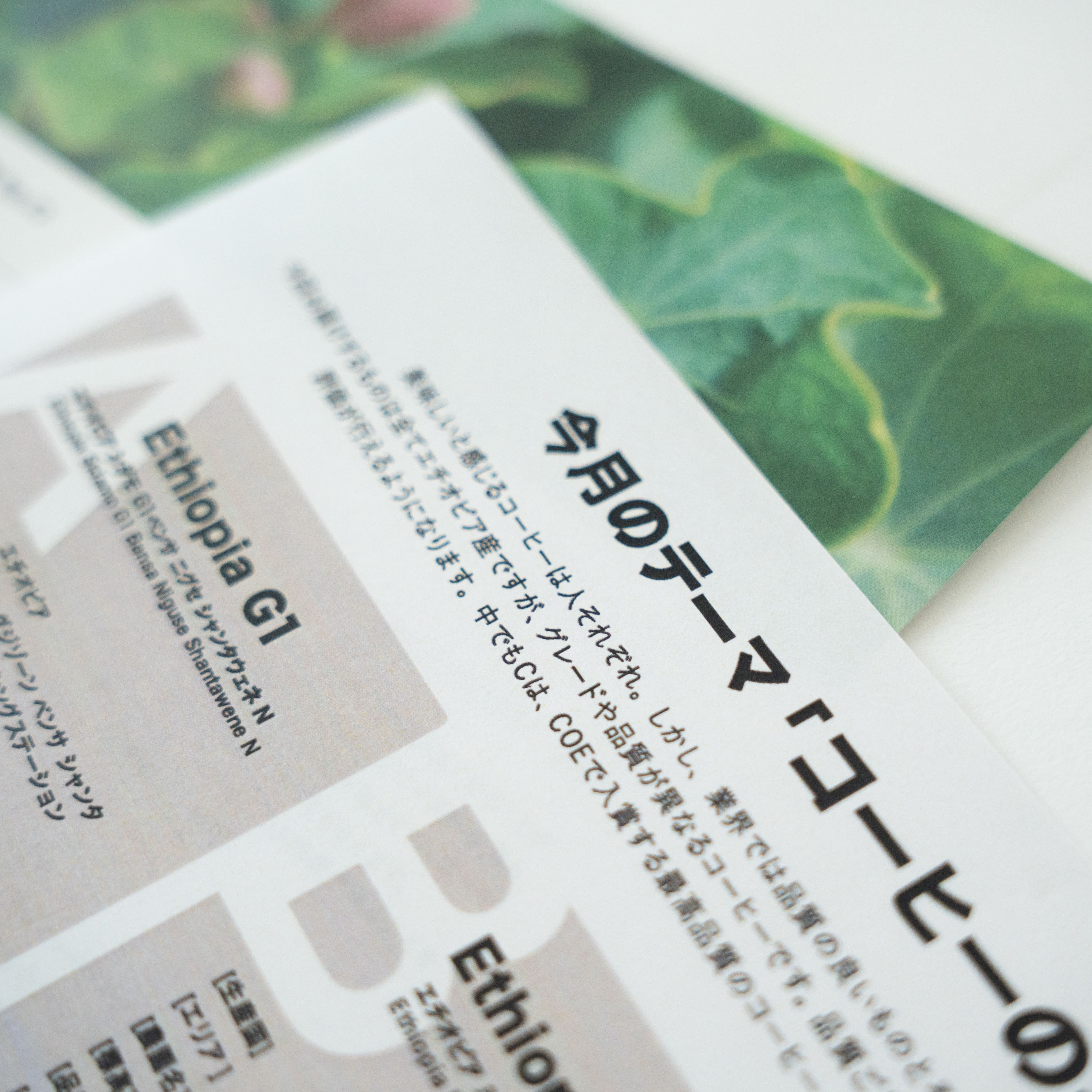 飲みくらべ定期便 | SCENE FACTORY COFFEE ROASTERS